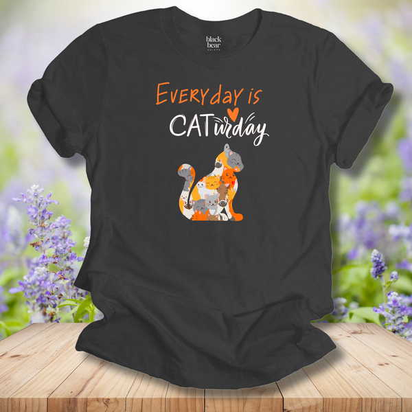 Every Day is Caturday