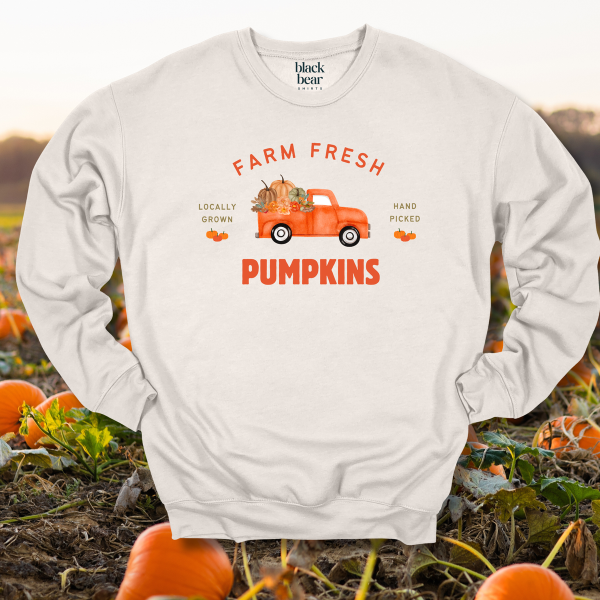 Farm Fresh Pumpkins