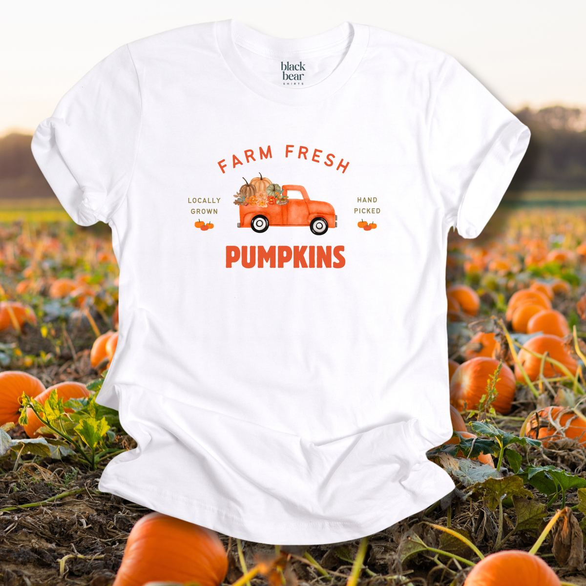 Farm Fresh Pumpkins