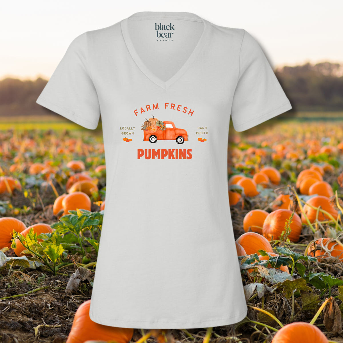 Farm Fresh Pumpkins