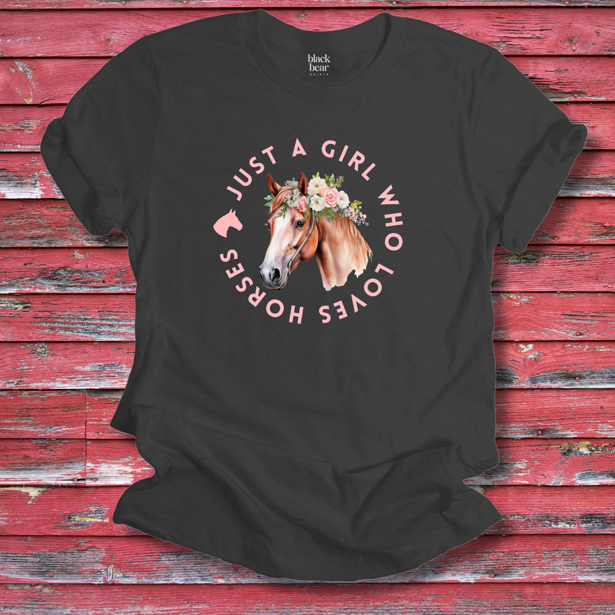 Just a Girl Who Loves Horses